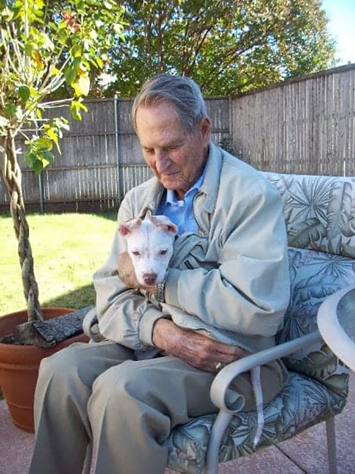 Adorable-Grandpawrents-Challenge