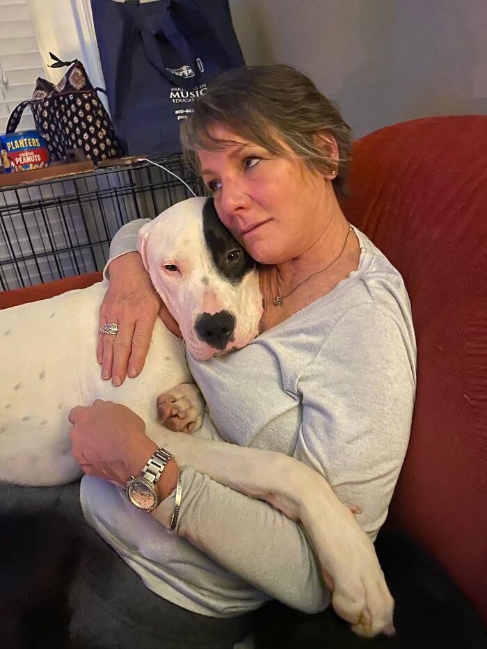 Adorable-Grandpawrents-Challenge