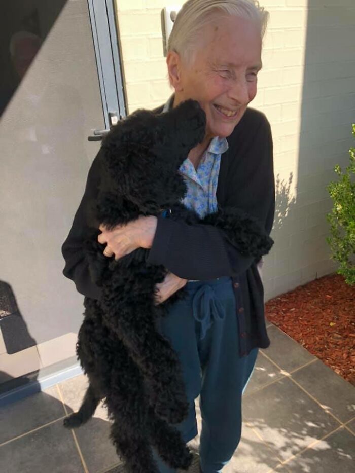 Adorable-Grandpawrents-Challenge