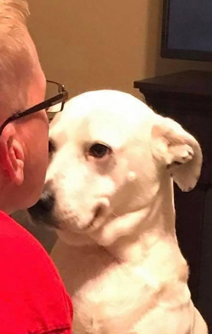 Adorable-Grandpawrents-Challenge