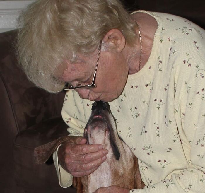 Adorable-Grandpawrents-Challenge