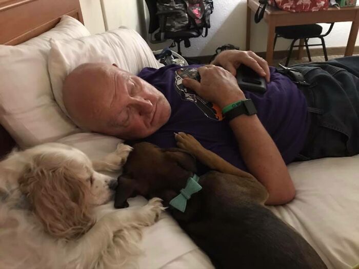 Adorable-Grandpawrents-Challenge