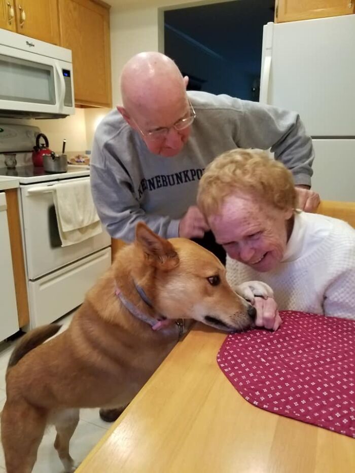 Adorable-Grandpawrents-Challenge