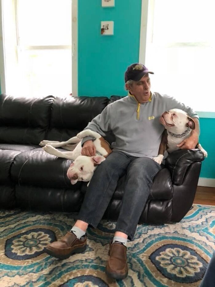 Adorable-Grandpawrents-Challenge