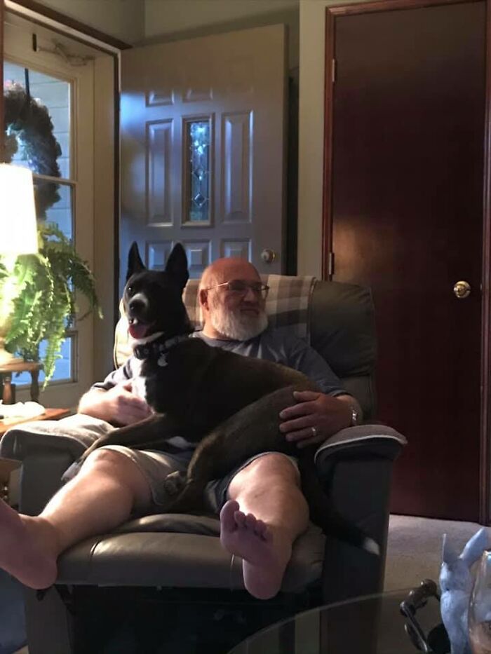 Adorable-Grandpawrents-Challenge