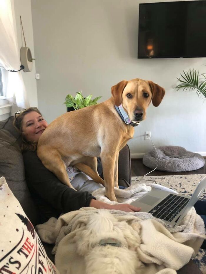 Adorable-Grandpawrents-Challenge