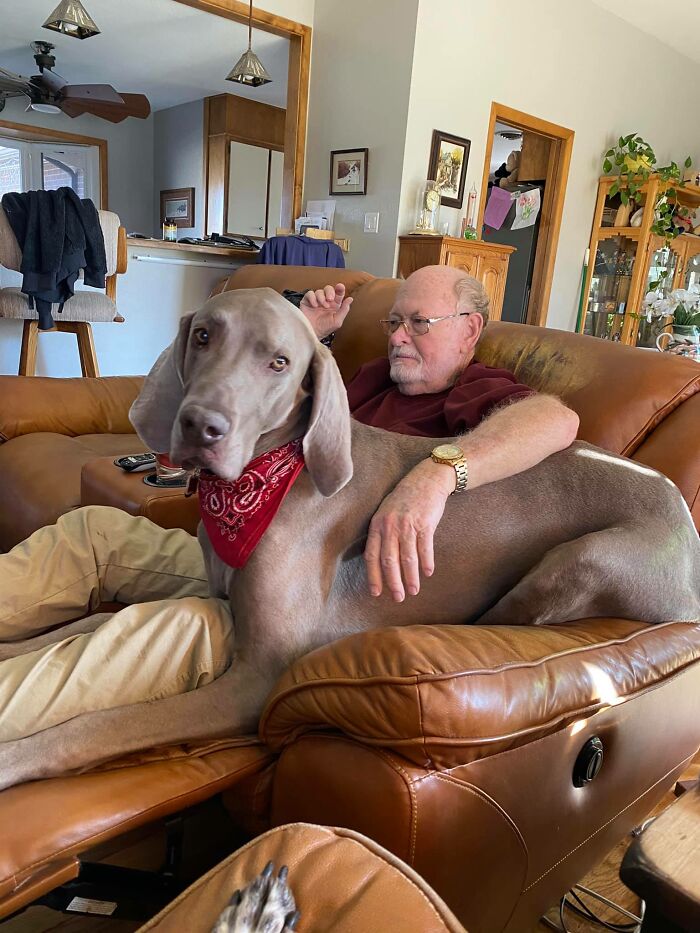 Adorable-Grandpawrents-Challenge