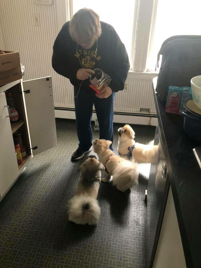 Adorable-Grandpawrents-Challenge