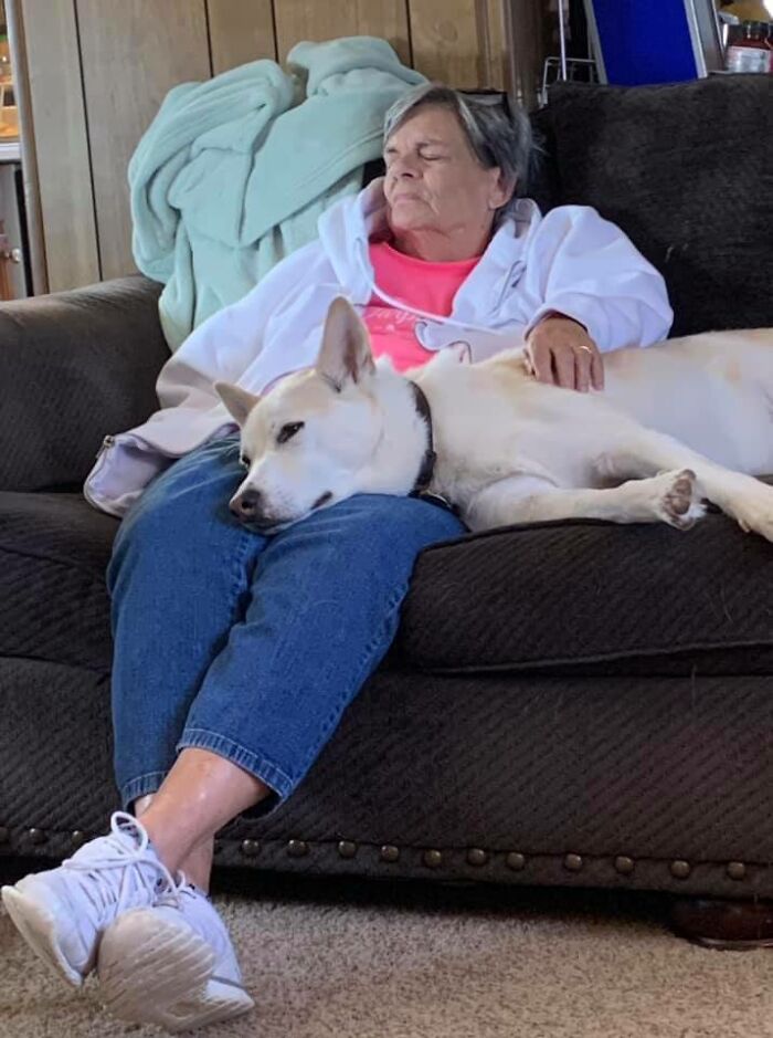 Adorable-Grandpawrents-Challenge