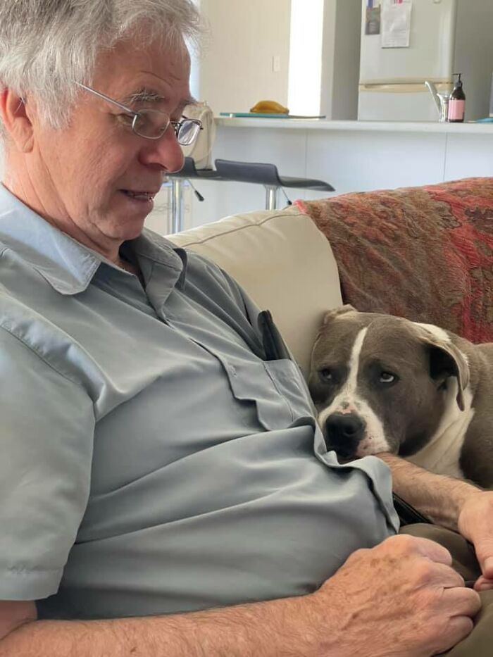Adorable-Grandpawrents-Challenge