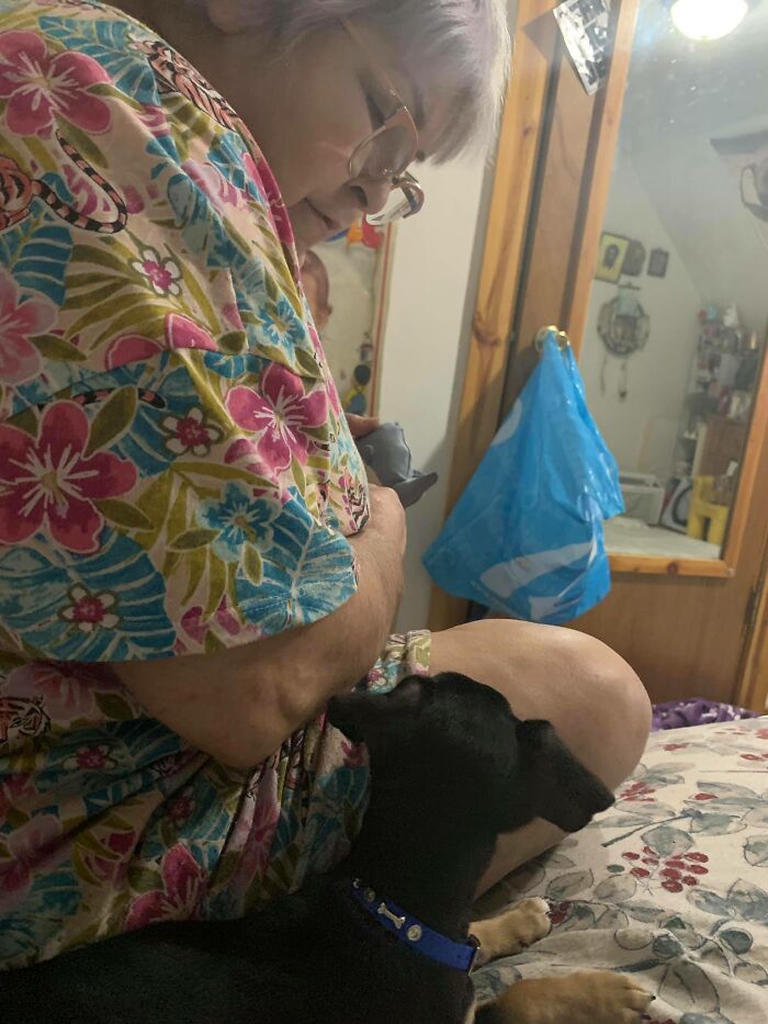 Adorable-Grandpawrents-Challenge