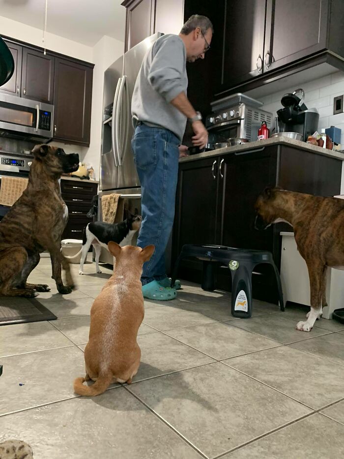 Adorable-Grandpawrents-Challenge