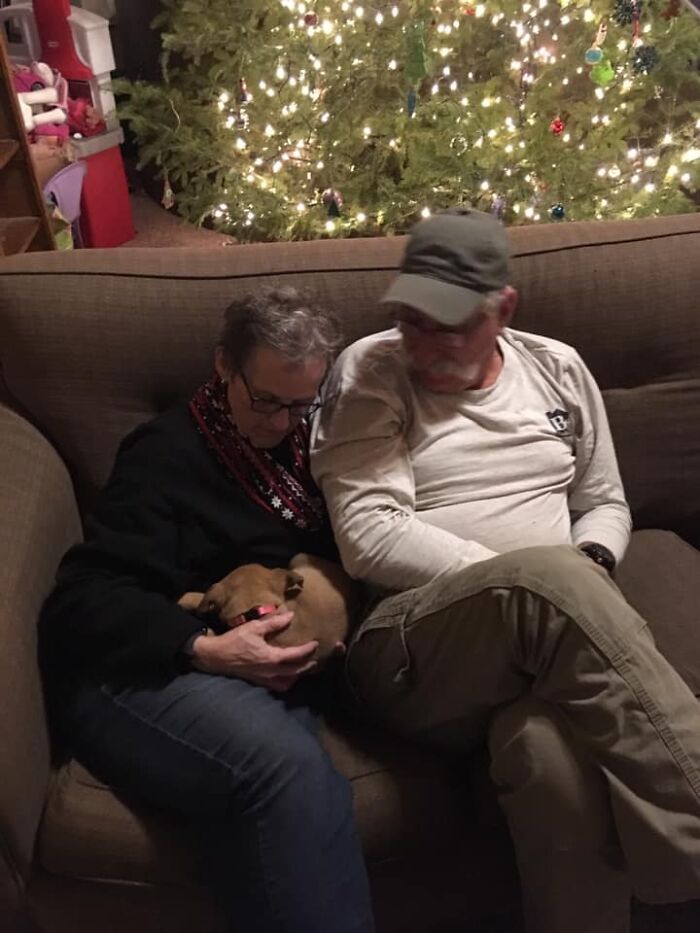Adorable-Grandpawrents-Challenge