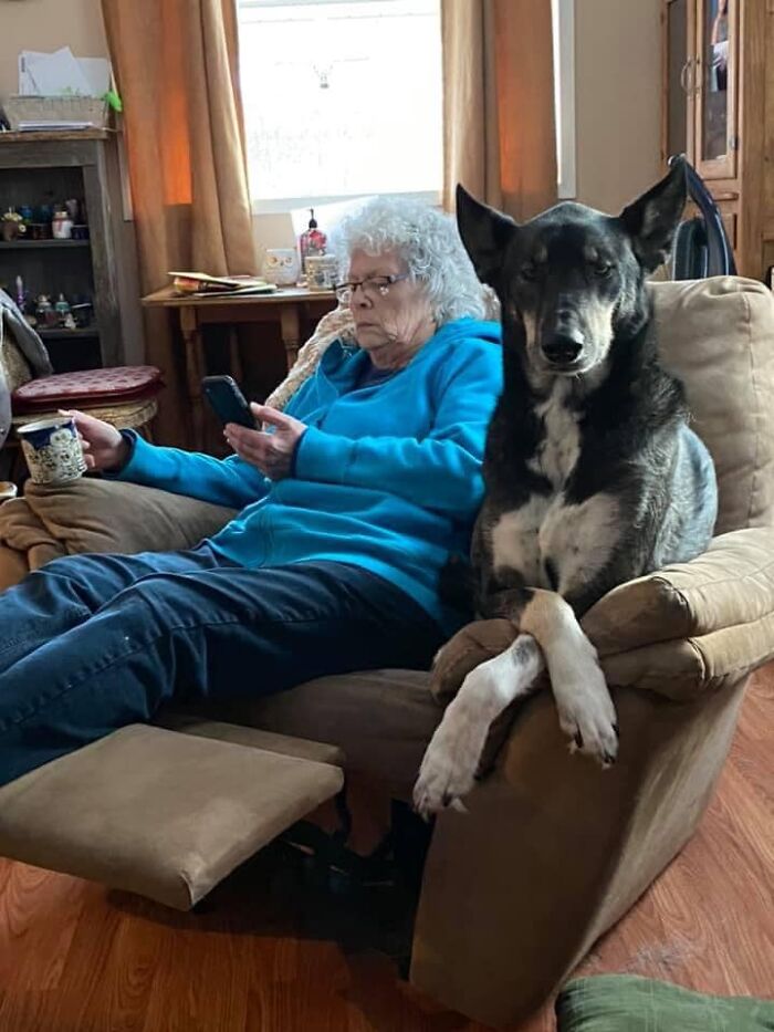Adorable-Grandpawrents-Challenge