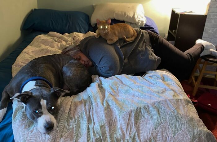 Adorable-Grandpawrents-Challenge