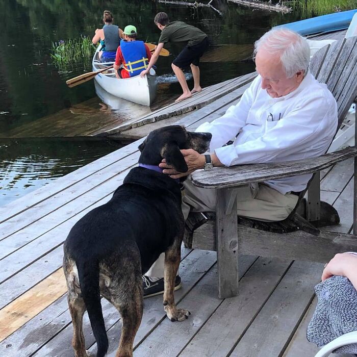 Adorable-Grandpawrents-Challenge