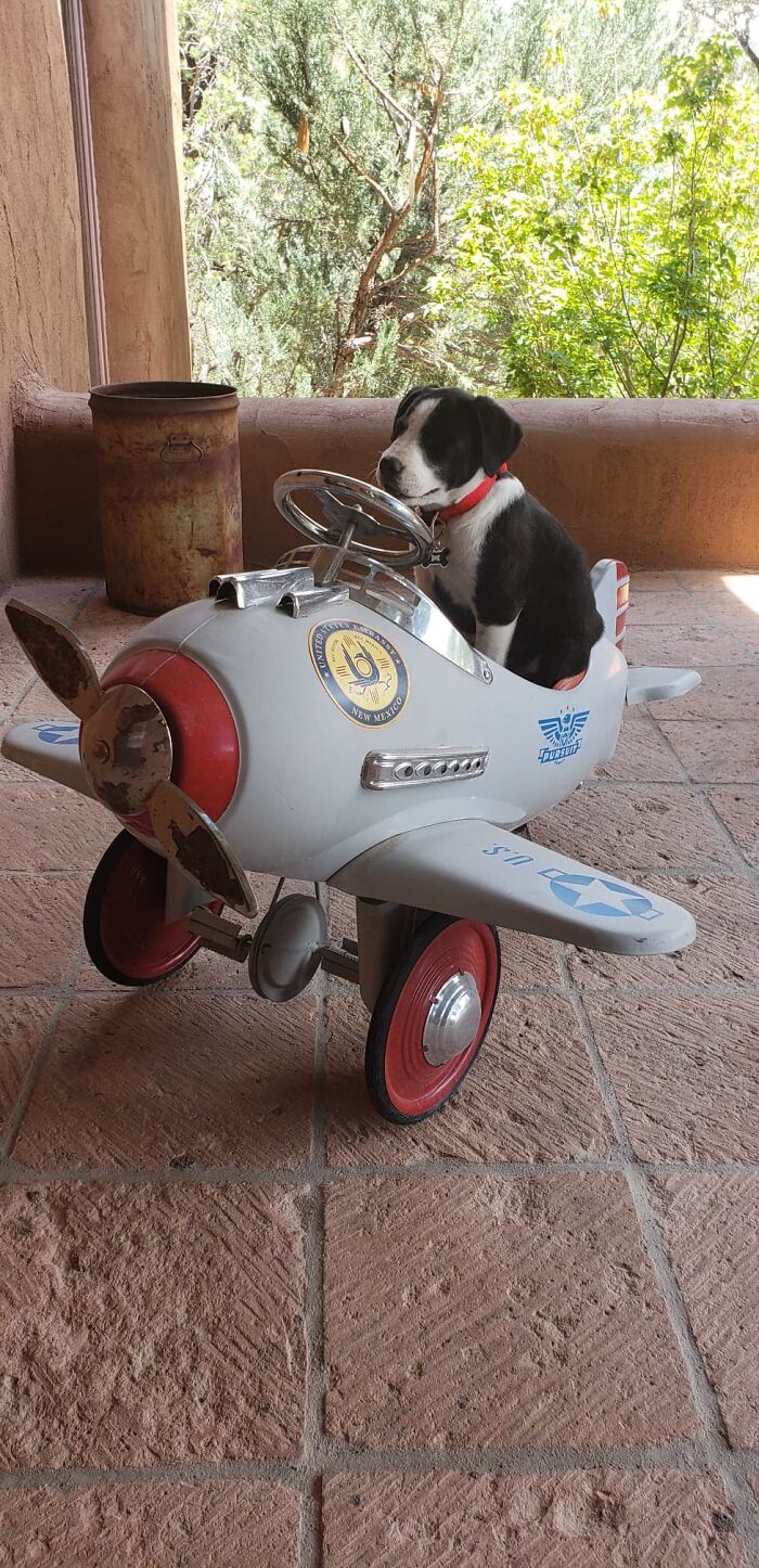 Mason. Taking Over Snoopy's Sopwith Camel...