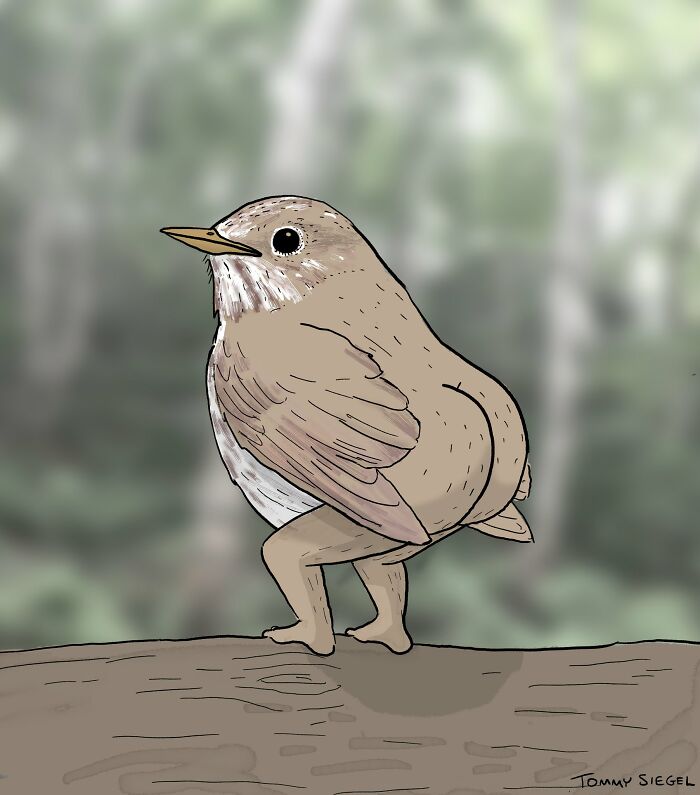 People 'Criticized' How This Artist Drew Bird Legs, So He Trolled Them By "Fixing" The Legs
