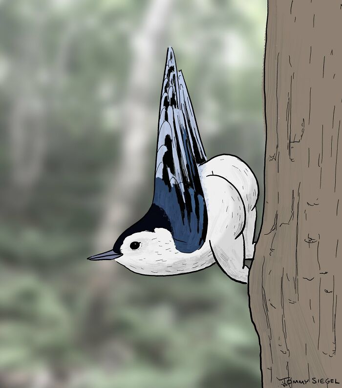 People 'Criticized' How This Artist Drew Bird Legs, So He Trolled Them By "Fixing" The Legs