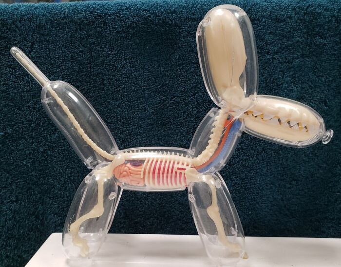 This Shook My World When I Saw It. Who Knew?