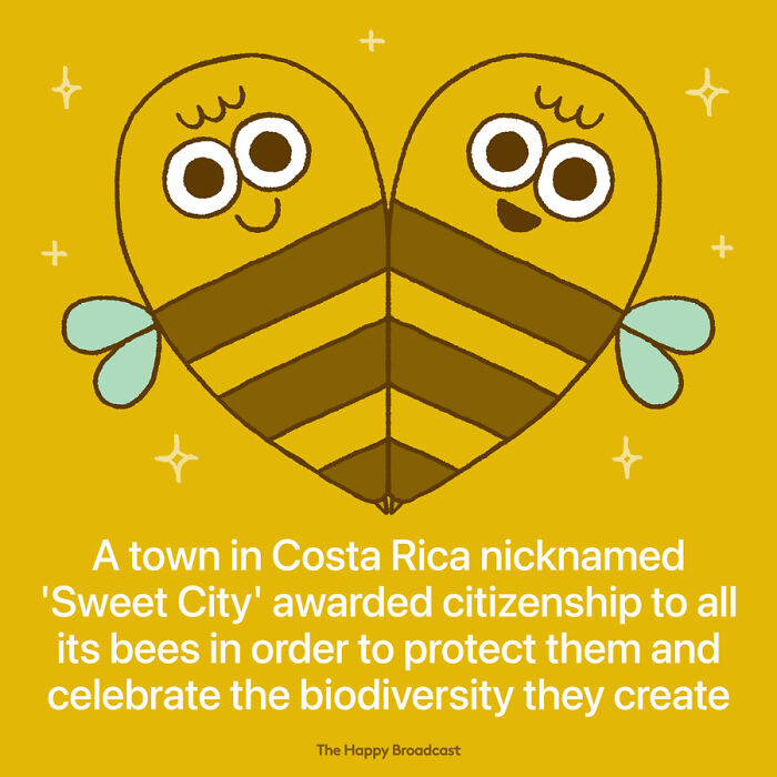 Positive-News-2020-Illustrations-Mauro-Gatti