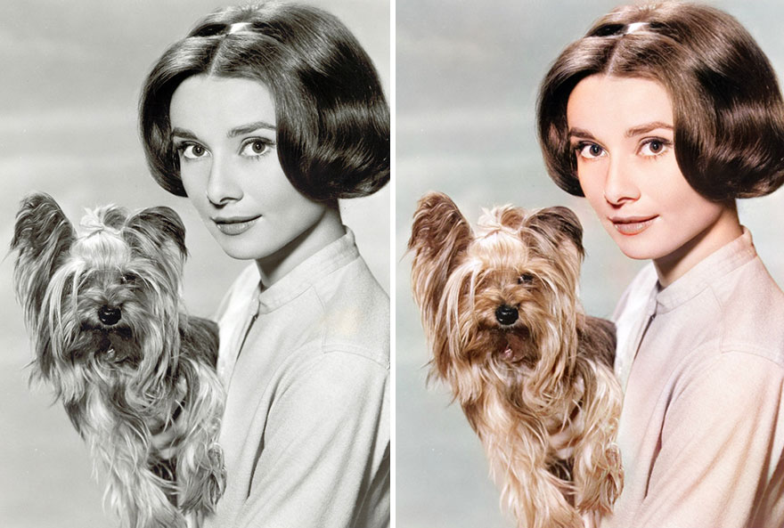 Black and white and colorized side-by-side images of a Golden Age of Hollywood celebrity holding a small dog using AI.