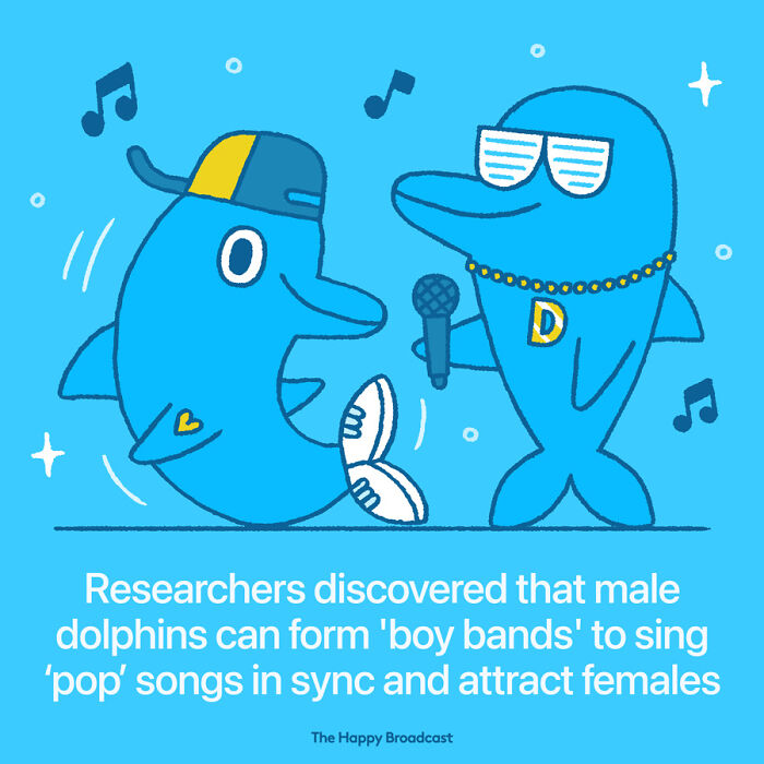 Positive-News-2020-Illustrations-Mauro-Gatti