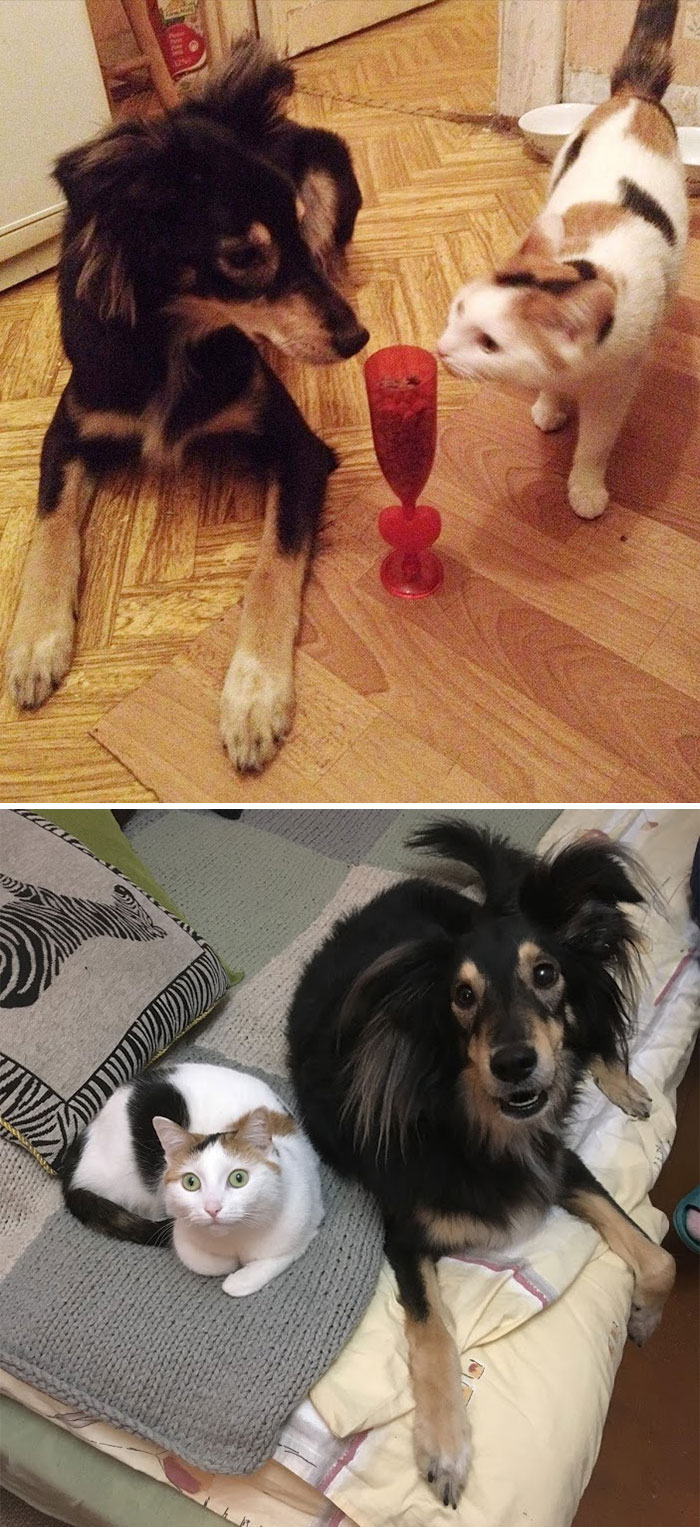 These Two Are The Best Friends