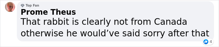 Over 64K People On YouTube Can't Get Enough Of This Video Capturing A Bunny Chomping A Snowman’s Carrot Nose