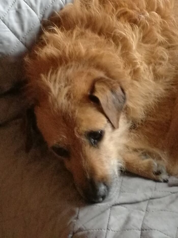 She's The Best Girl Ever.