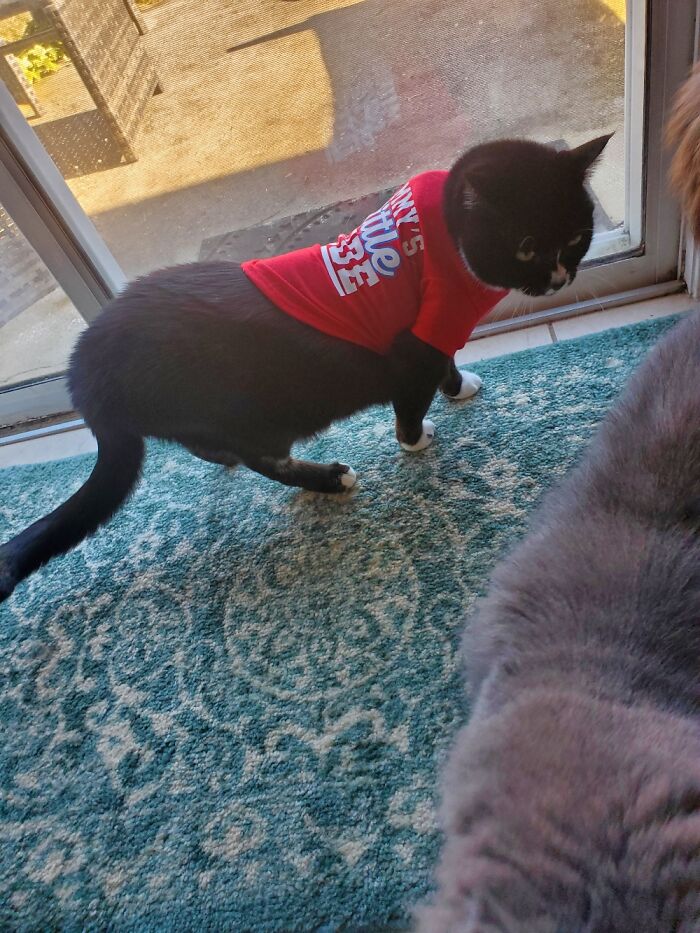 Wore It Long Enough To Get A Pic... Someone Misjudged His Size🤣 Not The Most Flattering Shirt