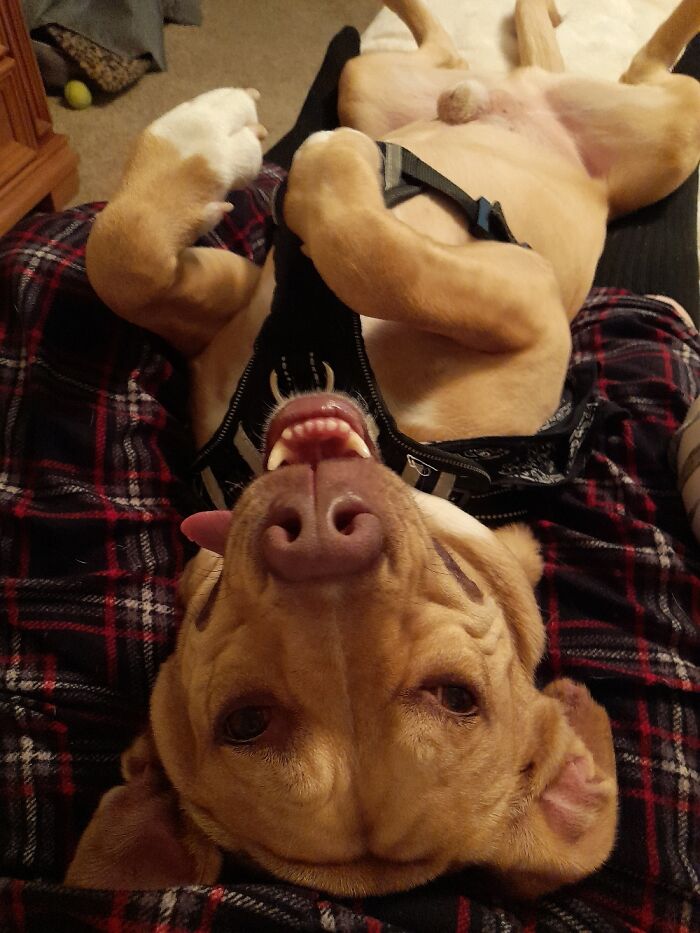 The Face Of Pure Joy 😂