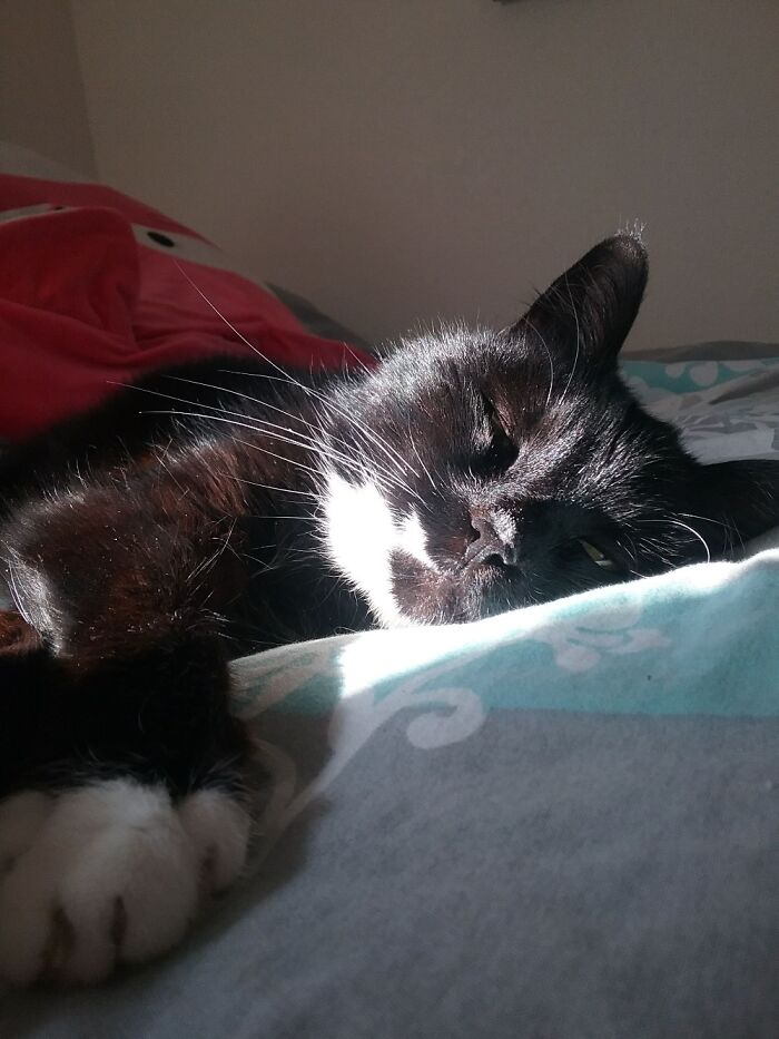 Sassy: My Old Sleepy Girl.