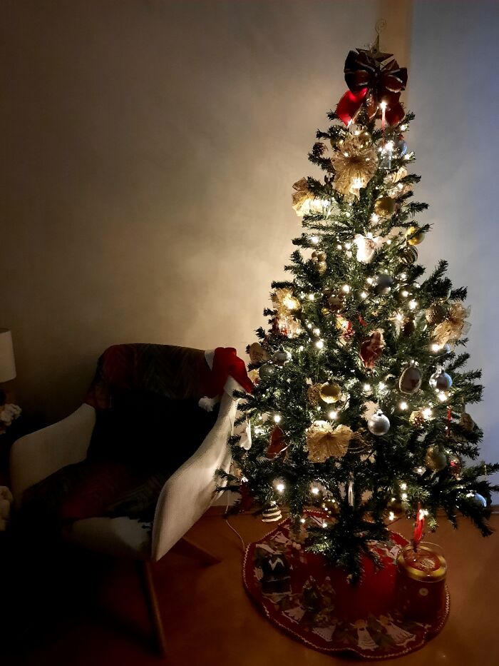 Our Tree