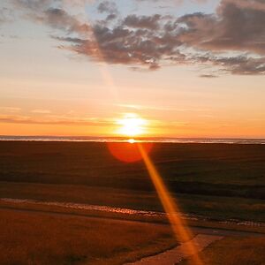 bernadettespieler avatar