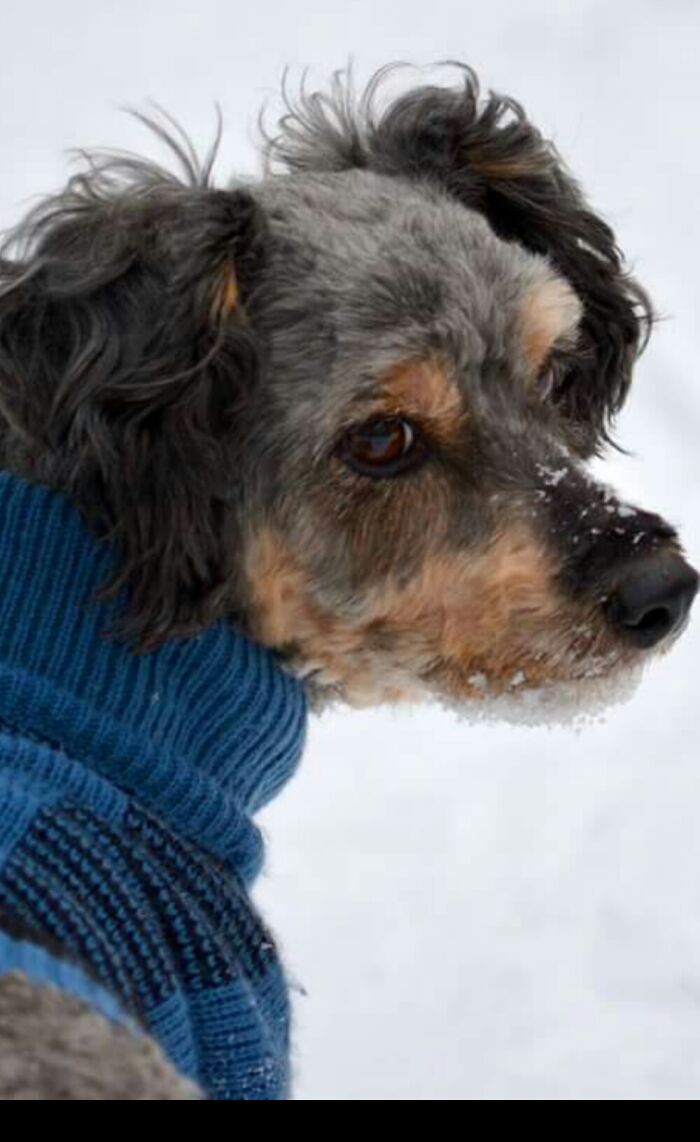 This Handsome Little Guy...