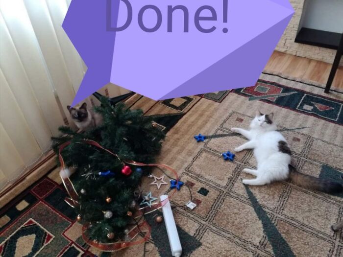 Mission Accomplished!