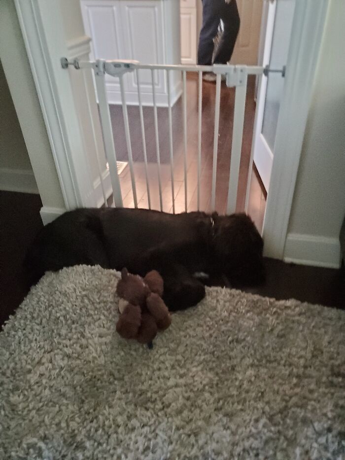 Isimg Rig As Blanket