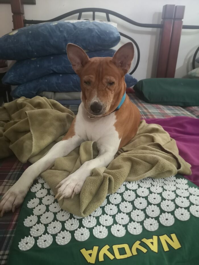 My Boy Loki Being True To His Name And Giving 0 Effs.