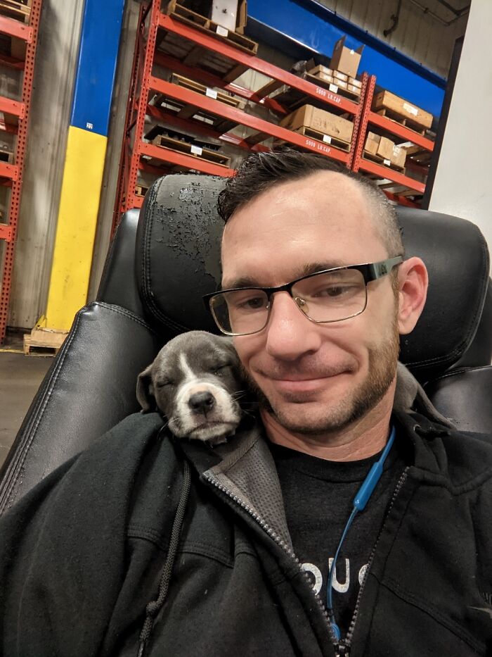 Christmas Gift. Not Sure If I Got A Puppy Or A New Scarf That Barks!?