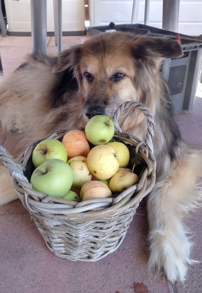 Moonlight. She's An Idiot And Crazy Old But God, How We Love Her.