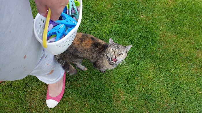 Stop Hanging The Washing Out! Fuss Me!