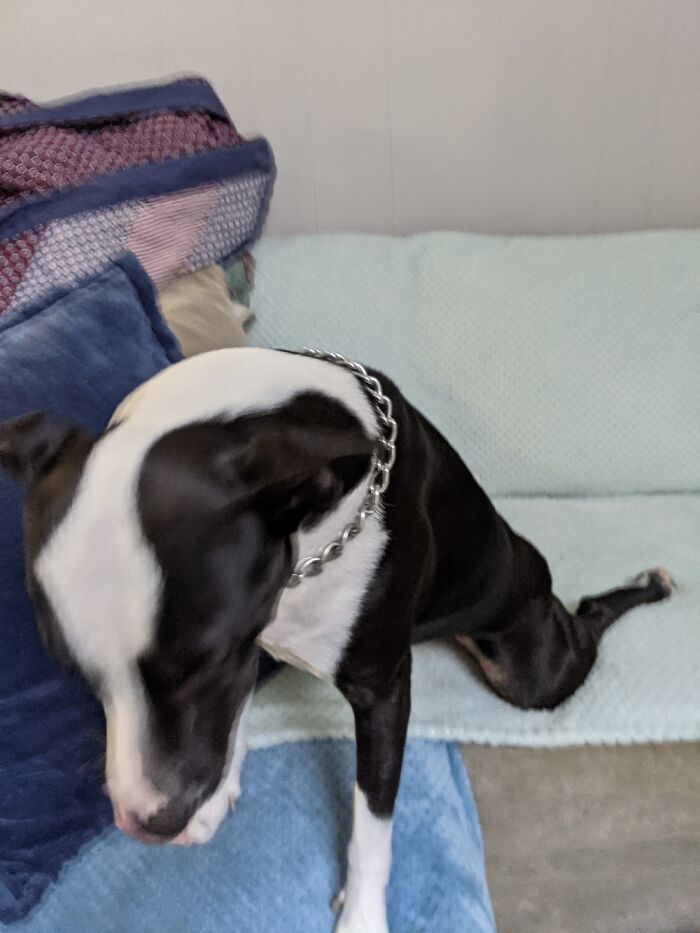 1/2 Stretch, 1/2 Yoga, Full Time Couch Potato