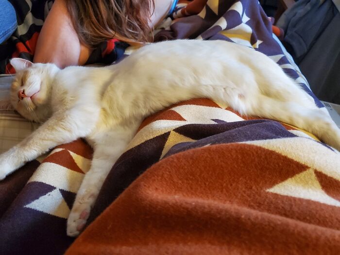 Dough Boy Molds To Any Surface.