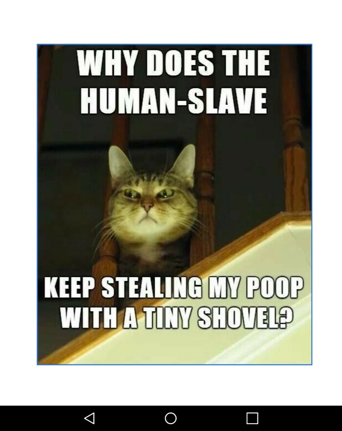 My All Time Favorite