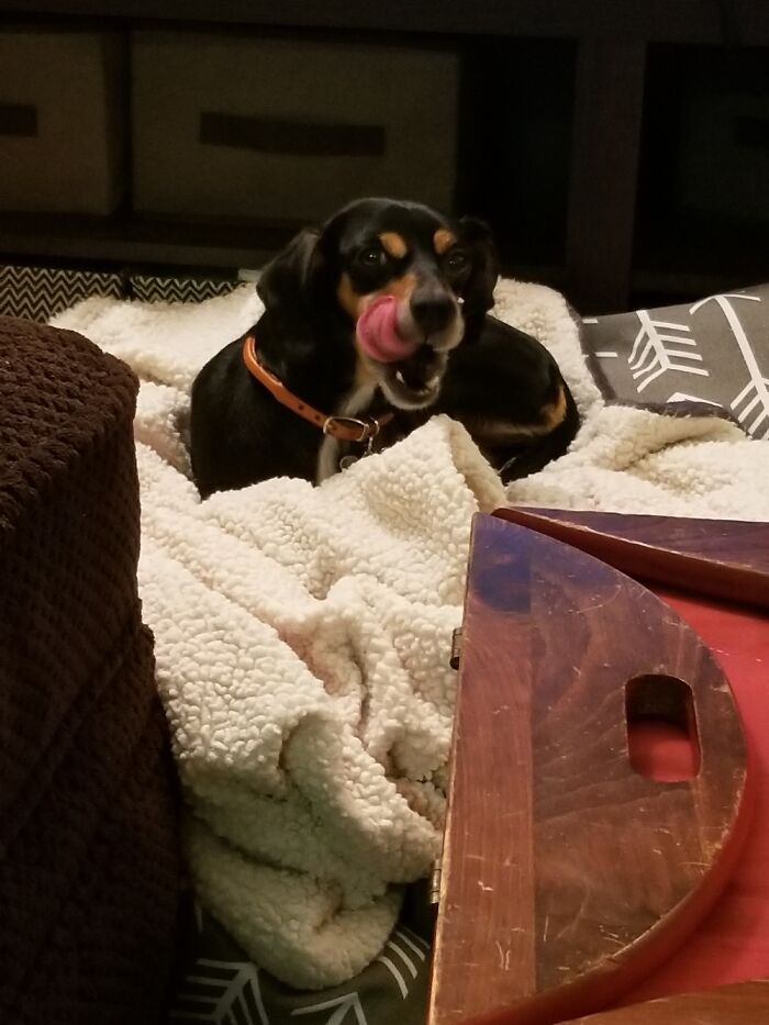 Edna Lou, My Pillow Princess