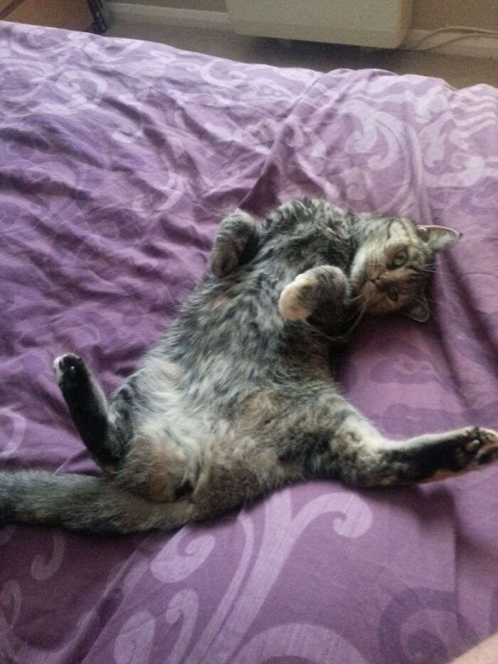 Paint Me Like One Of Your French Girls