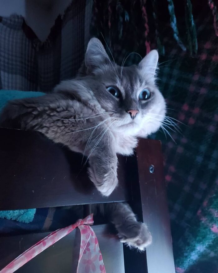 She Bit Me Not Too Long After This Photo