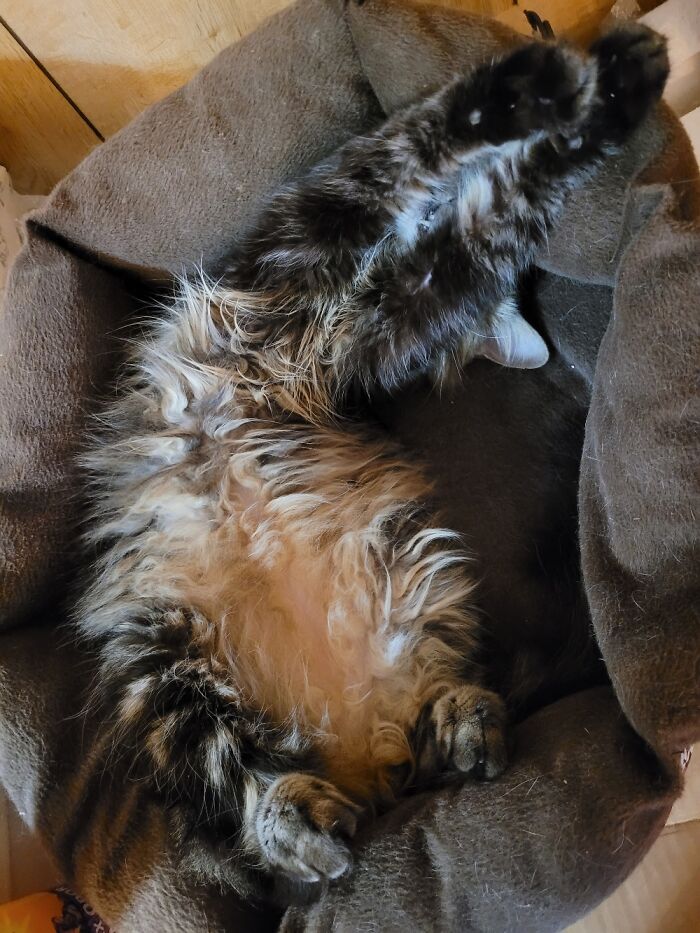 Cass, Making Air Biscuits While Sound Asleep And Snoring