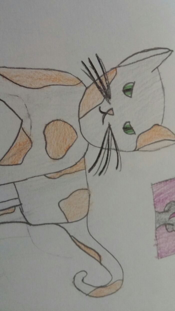 It's A Drawing Of Mapleshade, From Warriors.